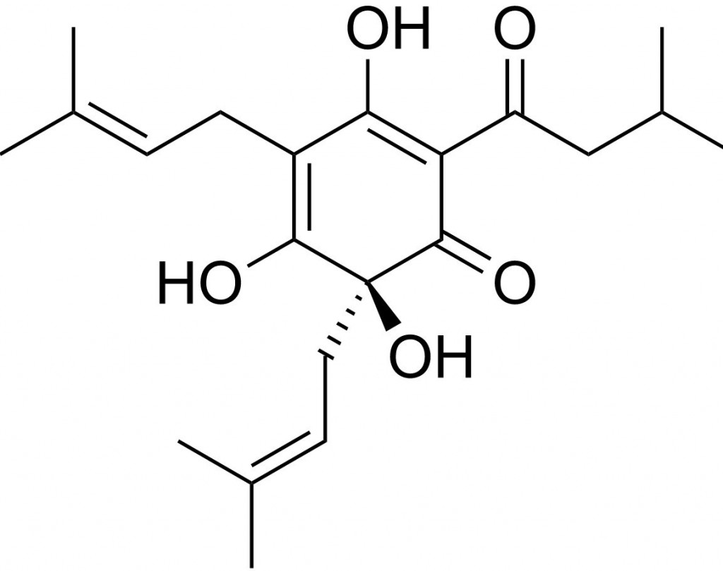 iso-alpha-acids-sielc