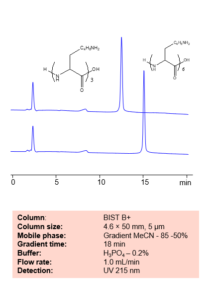 HPLC Method for Analysis of Polylysine on BIST™ B+ Column