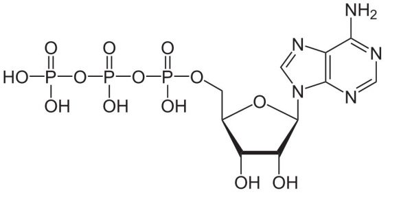 Adenosine Triphosphate | SIELC