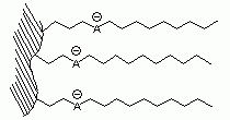 Primesep A - Acidic