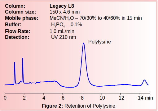 Figure 2: Retention of Polylysine