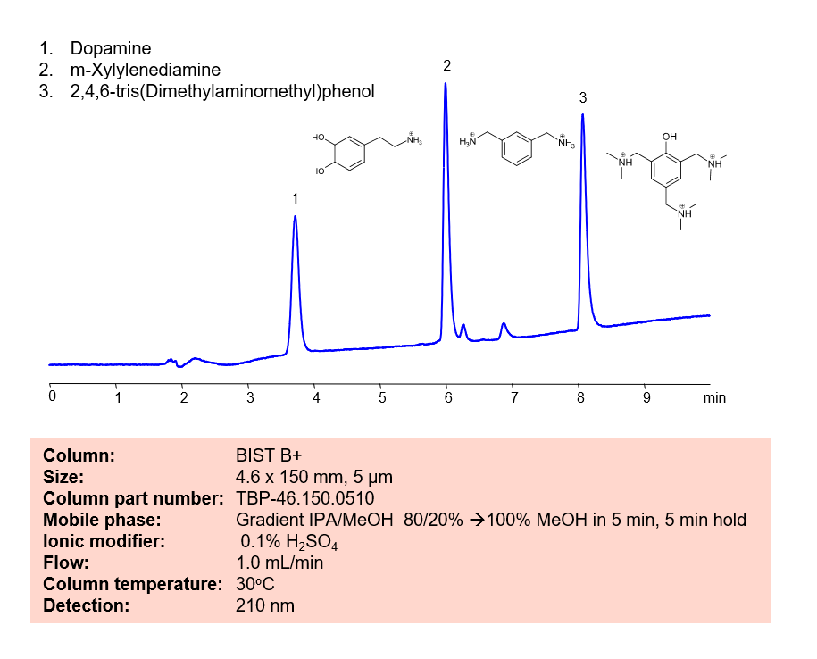 HPLC Method for Separation of of Amines in Non Aqueous MP on BIST B+ Column by SIELC Technologies