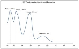 UV- Vis Absorption Spectrum of Berberine 