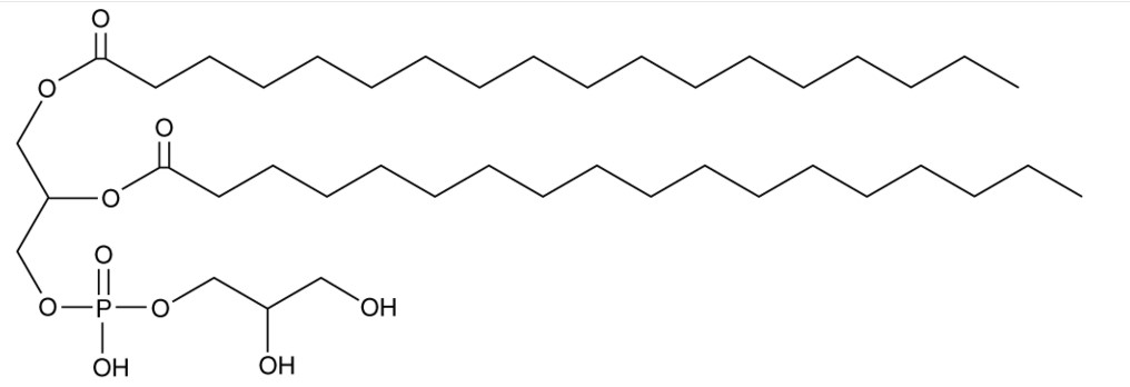 Dspg DSPG | SIELC Technologies