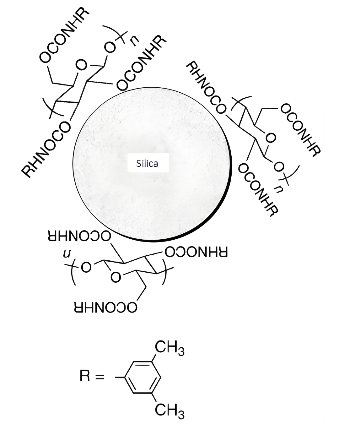 Chiral HPLC Column